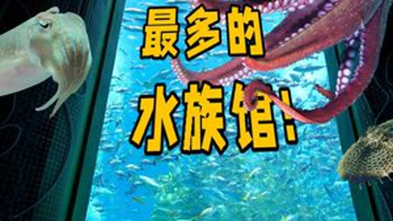 神奇生物最多的水族馆？在探亚特兰蒂斯！ #巨型章鱼  #乌贼 #自然奇境科普季  #鬼头刀 #亚特兰蒂斯失落的空间水族馆