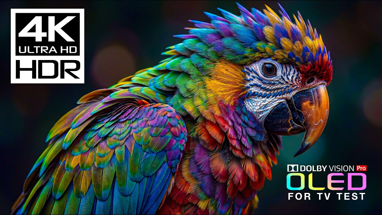 Masterpiece OLED TEST DEMO | 4K HDR 60FPS | Dolby Vision (8K/4K Video TV)