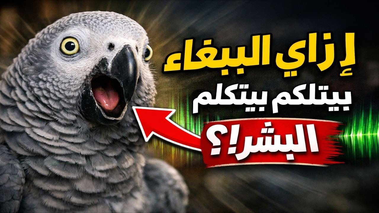 ازاي الببغاء بيتكلم زي البشر؟ السر الحقيقي!