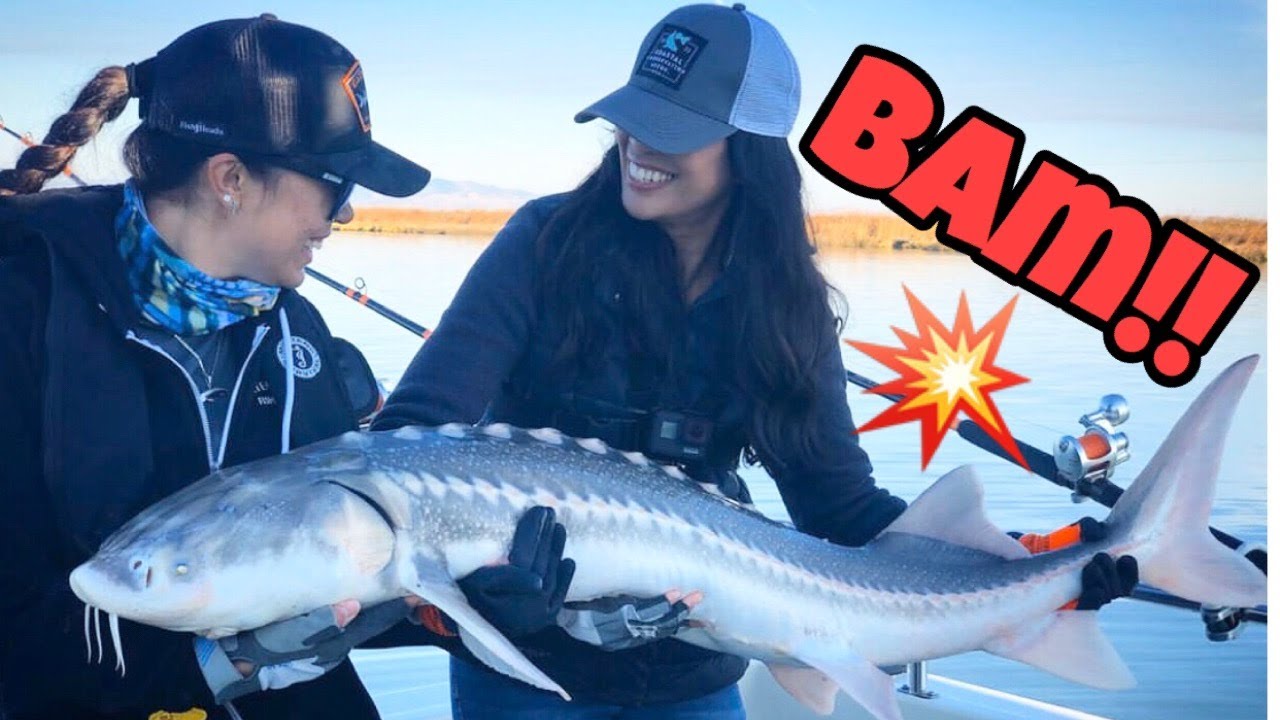 STACY BATTLES A STURGEON 💪🏼 - Going Beast Mode 💥 with Gatecrasher Fishing Adventures! 🎣🐟