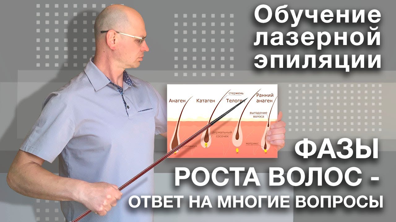 ОБУЧЕНИЕ ЛАЗЕРНОЙ ЭПИЛЯЦИИ | ФАЗЫ РОСТА ВОЛОС