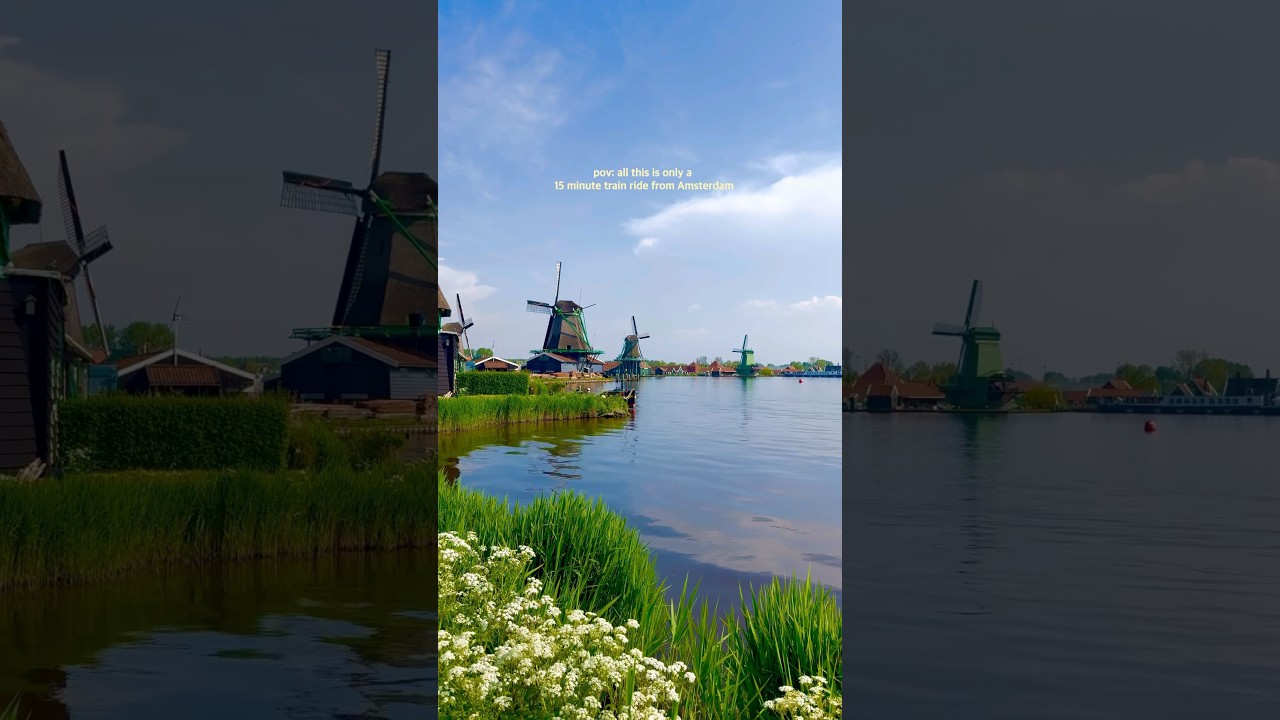 the best half day trip from Amsterdam: 📍Zaandam #travel #zaandam #amsterdam #europe