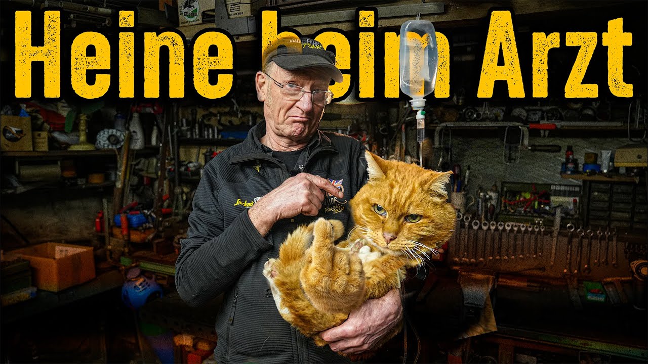 Unser Kater Heine ❤️ bekommt Hilfe – Tierärztin zuhause | Andis Funktionspunk