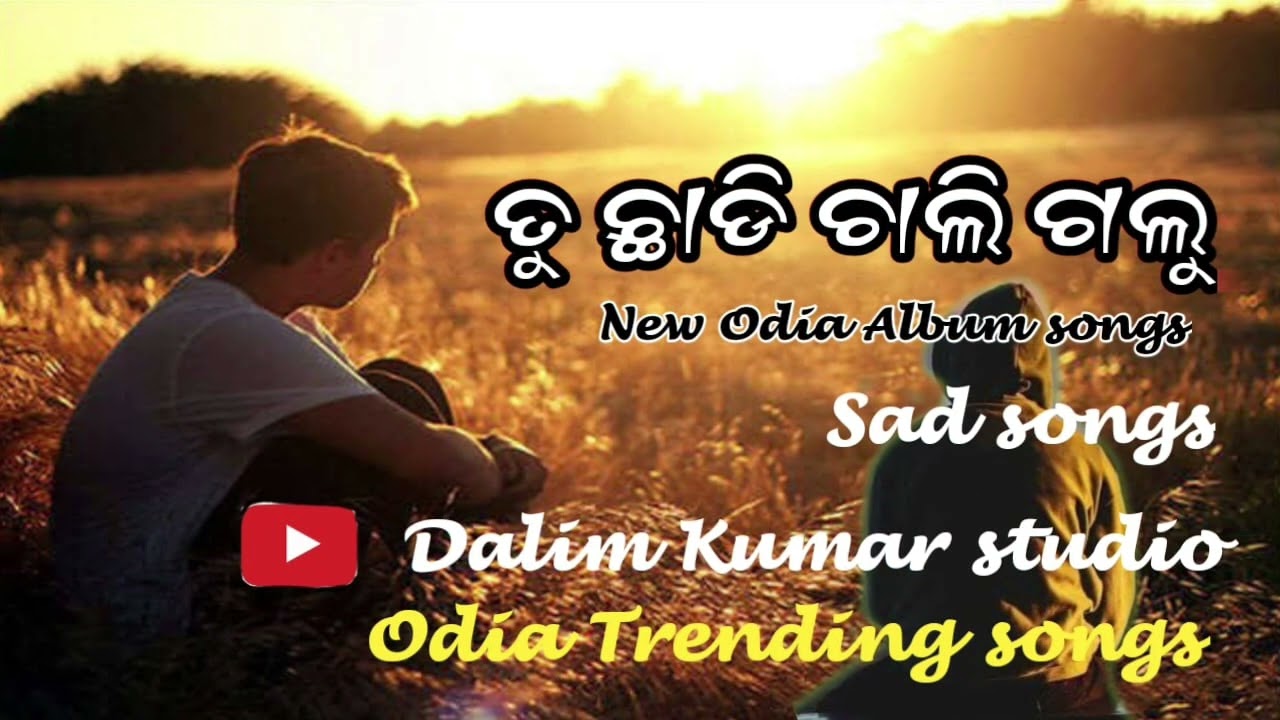 ତୁ ଛାଡିଚାଲିଗଲୁ 💔 #New #Odia #Album #songs #Sad  #songs #Odia #Trending #songs #DalimKumarstudio #sam