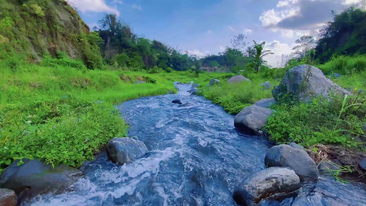 Sleep Soundly with Calming River Sounds & Views of Flowing Water Over Rocks in a Peaceful Forest