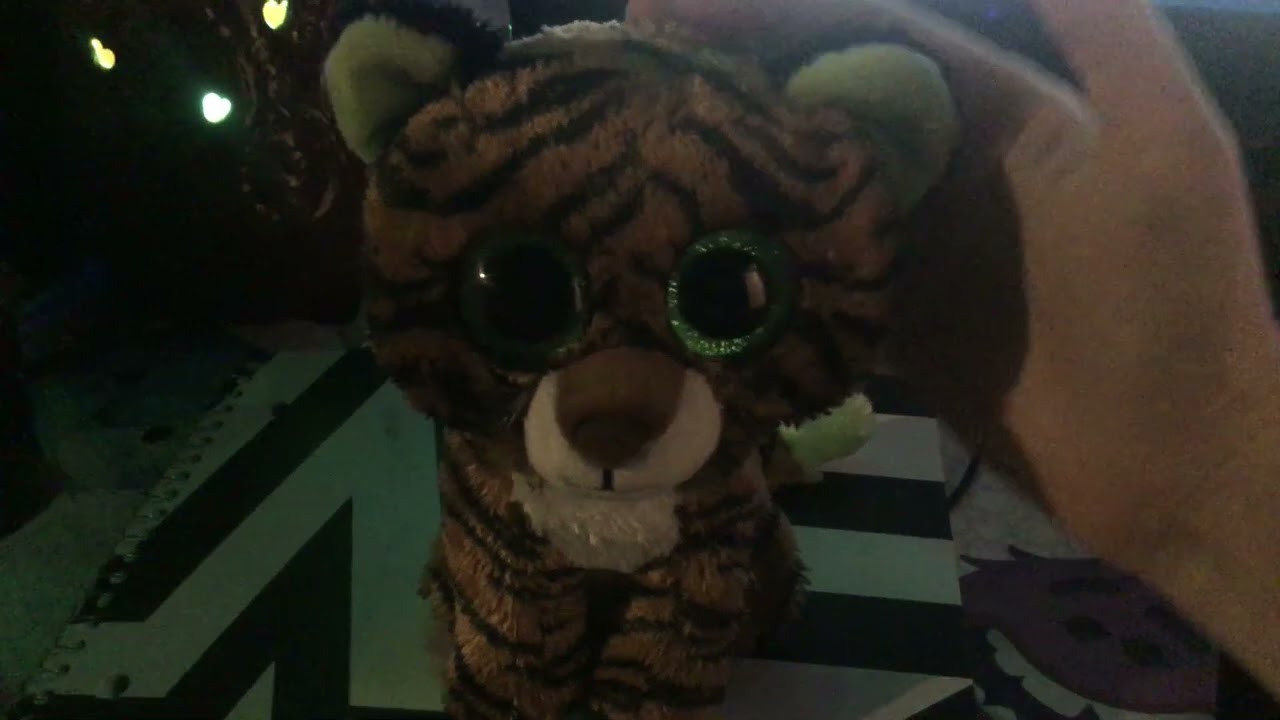 Natalie&rsquo;s Beanie boo reviews #1: Tiggy the tiger 🐯🐅