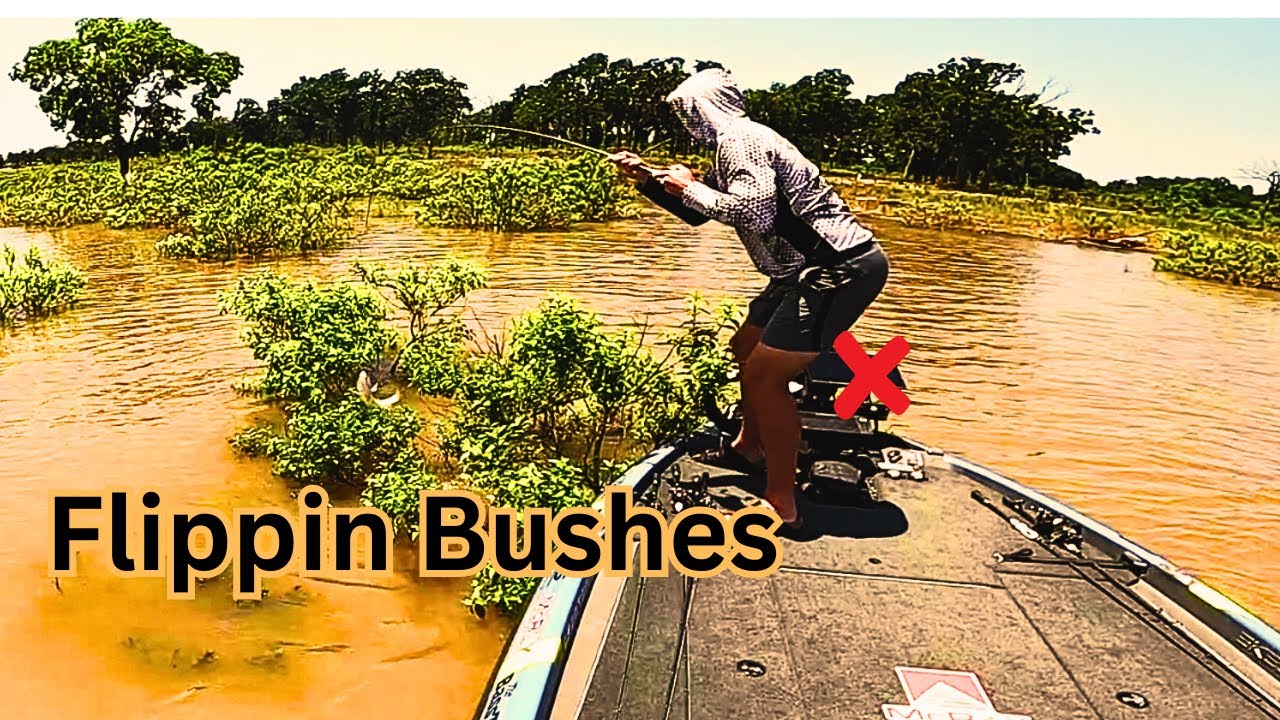 Old School OKLAHOMA Bush Flipping Tournament (Keystone lake)