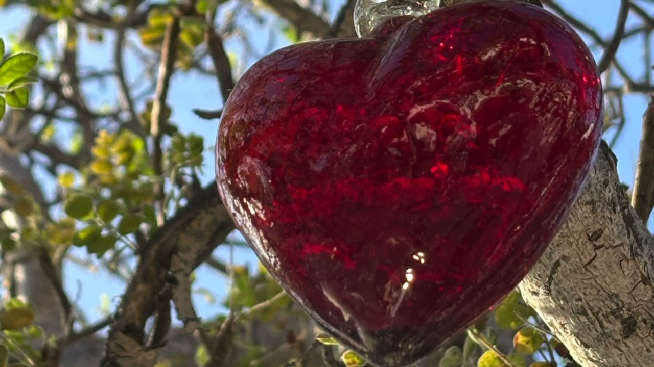 WHITNEY HOUSTON TRIBUTE: I Will Always Love You,  Vocalist Stephani Parker & Elissa Menendez on Sax