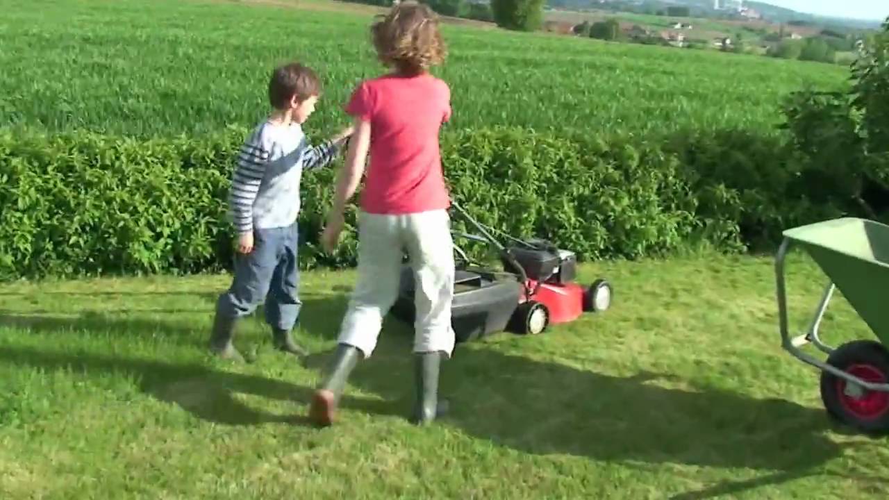 Grasmaaien