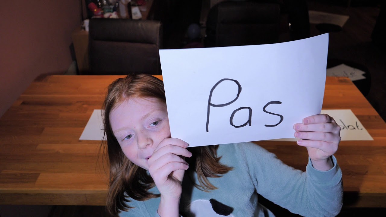 Filmpje voor school met uitleg over de ontkenning in het Frans