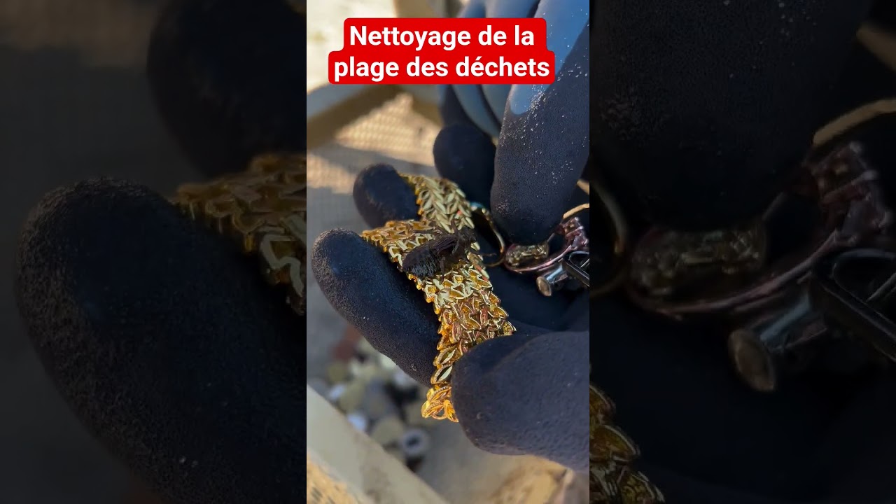 Nettoyage de la plage des d&eacute;chets чистка пляжа от мусора.
