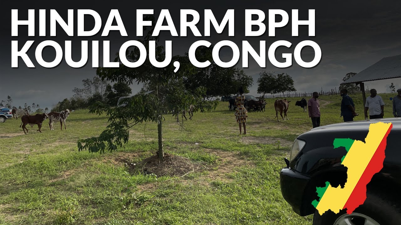 Pointe Noire à Hinda 🇨🇬| BPH Agricole (Dégustation du Dimanche)
