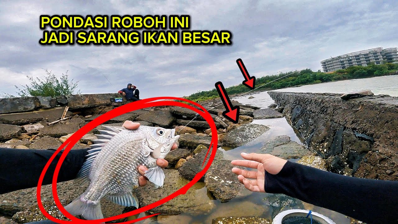 NGERI BRO‼️Spot Kaya Gini Jaminan Jadi Rumah Ikan Besar 