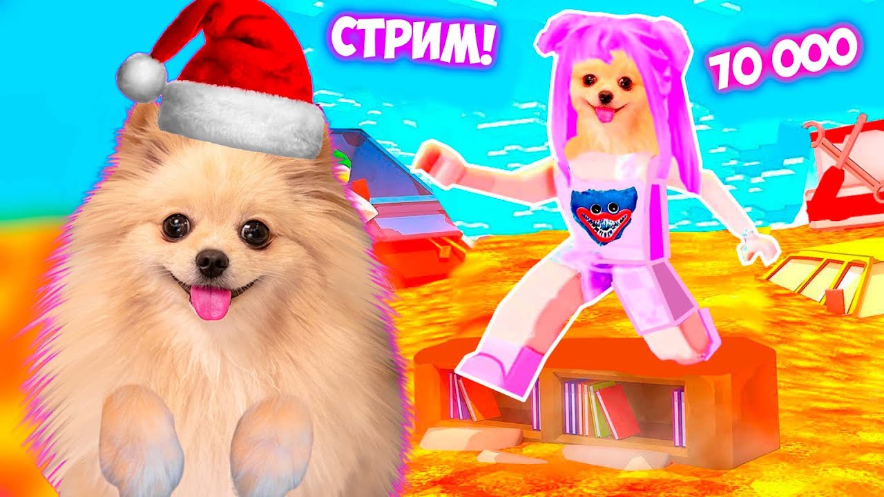 НОВЫЕ ИГРЫ В РОБЛОКС ! 70000 ПОДПИСЧИКОВ ! СТРИМ ROBLOX