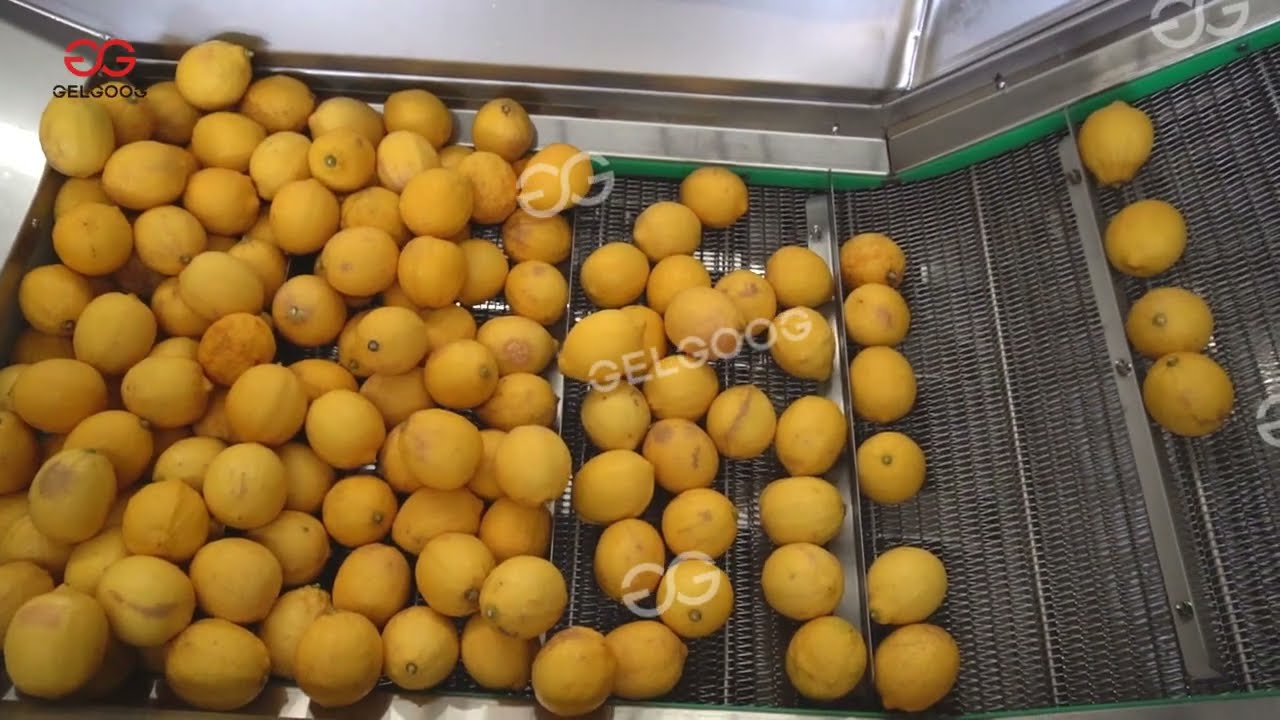 Lemon Juice Making Machine | Industrial Lemon Juice Processing Machine