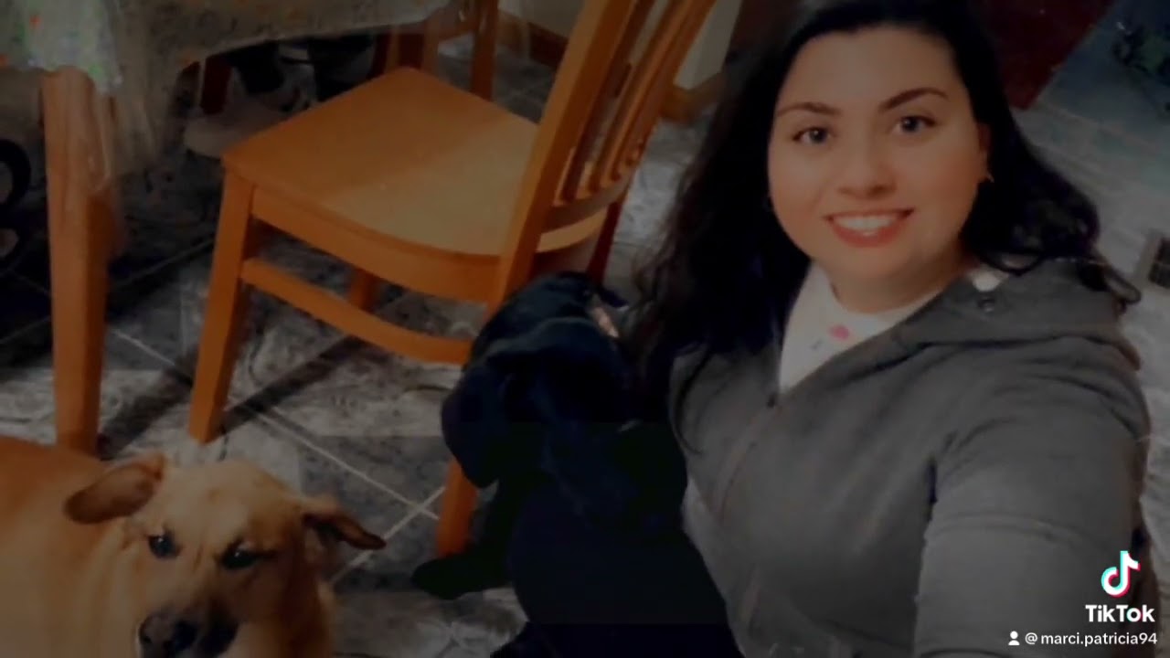 #fyptiktok #fypyoutube #dogtok