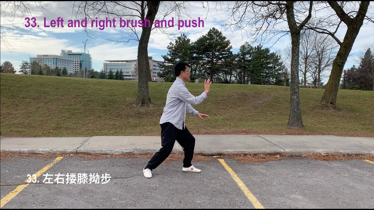 Yang Style Taijiquan 85 Forms - back view, by Weiyuan Huang - 杨氏太极拳85式（背面），黄未原