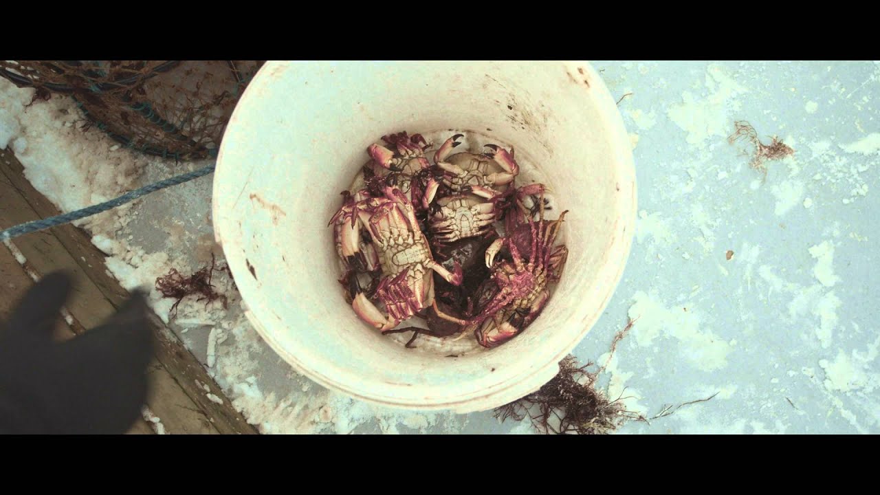 BOMBUS - Deadweight (OFFICIAL VIDEO)