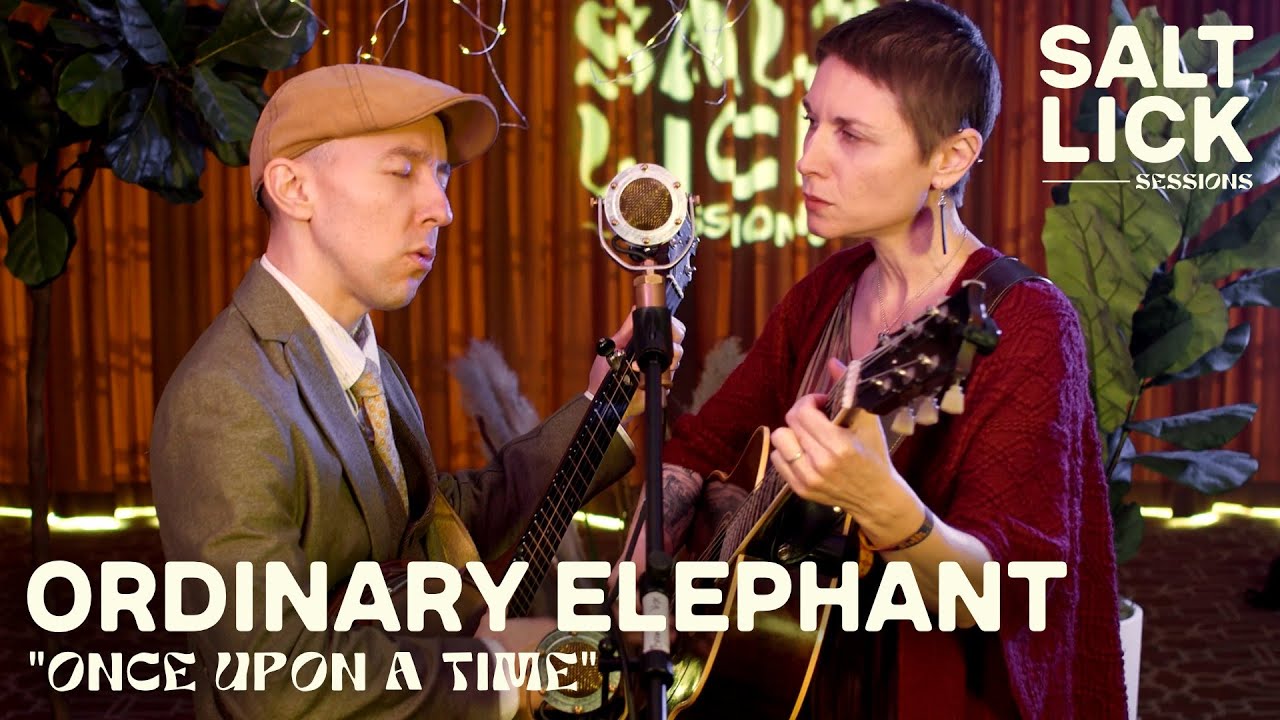 Ordinary Elephant: 