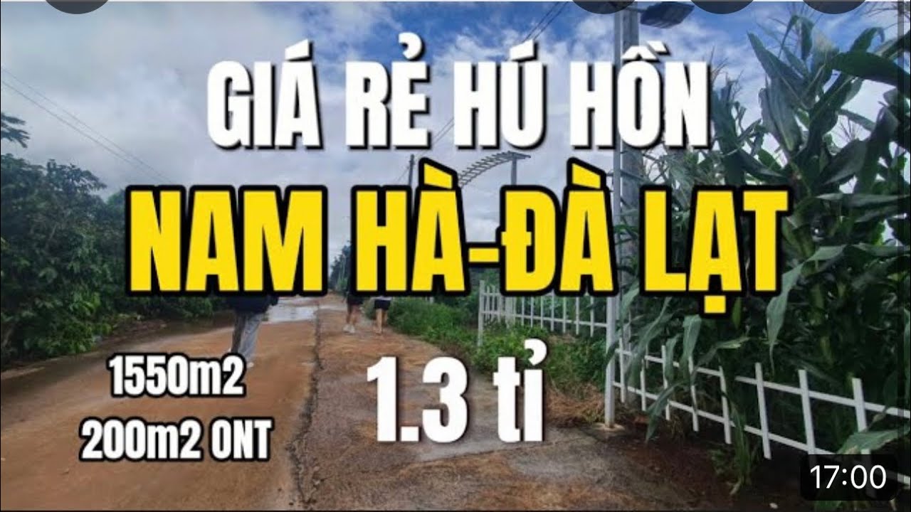 Bất Động Sản Đà Lạt| Vườn cây ăn trái và hơn 1000m2 sổ riêng sẵn thổ cư