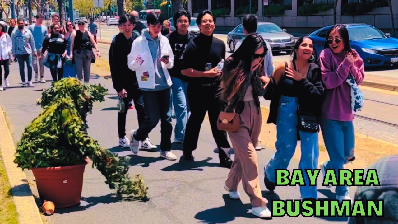 Bushman prank: “And so with the sunshine and the great bursts of leaves growing on trees…”