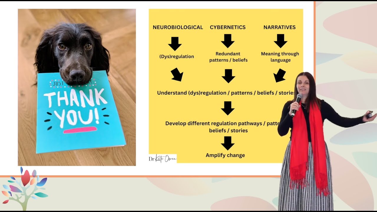 Systemic Theory of Change Revisited: Adding the Neurobiological Pathway