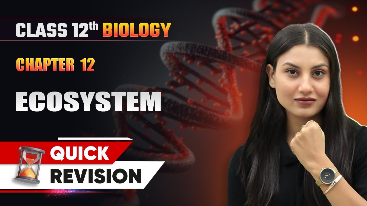 Ecosystem - Quick Revision | Class 12 Biology Chapter 12 | CBSE 2025-26