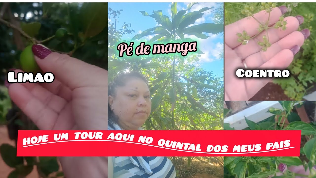 #um tour pelo quintal simples dá casa dos meus pais na Bahia 🌴🪴🌾🌷#vlog,#video curto