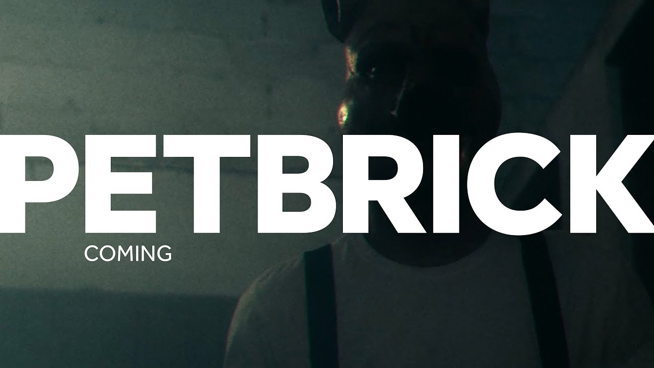 PETBRICK – Coming (feat Laima Leyton)