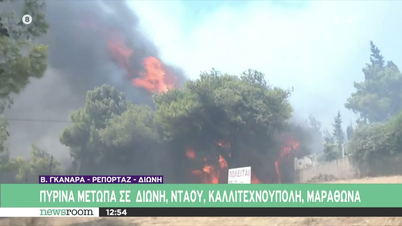 Διώνη: Σπίτι παραδίδεται στις φλόγες - Τρομακτικές εικόνες | Newsroom | 12/08/2024