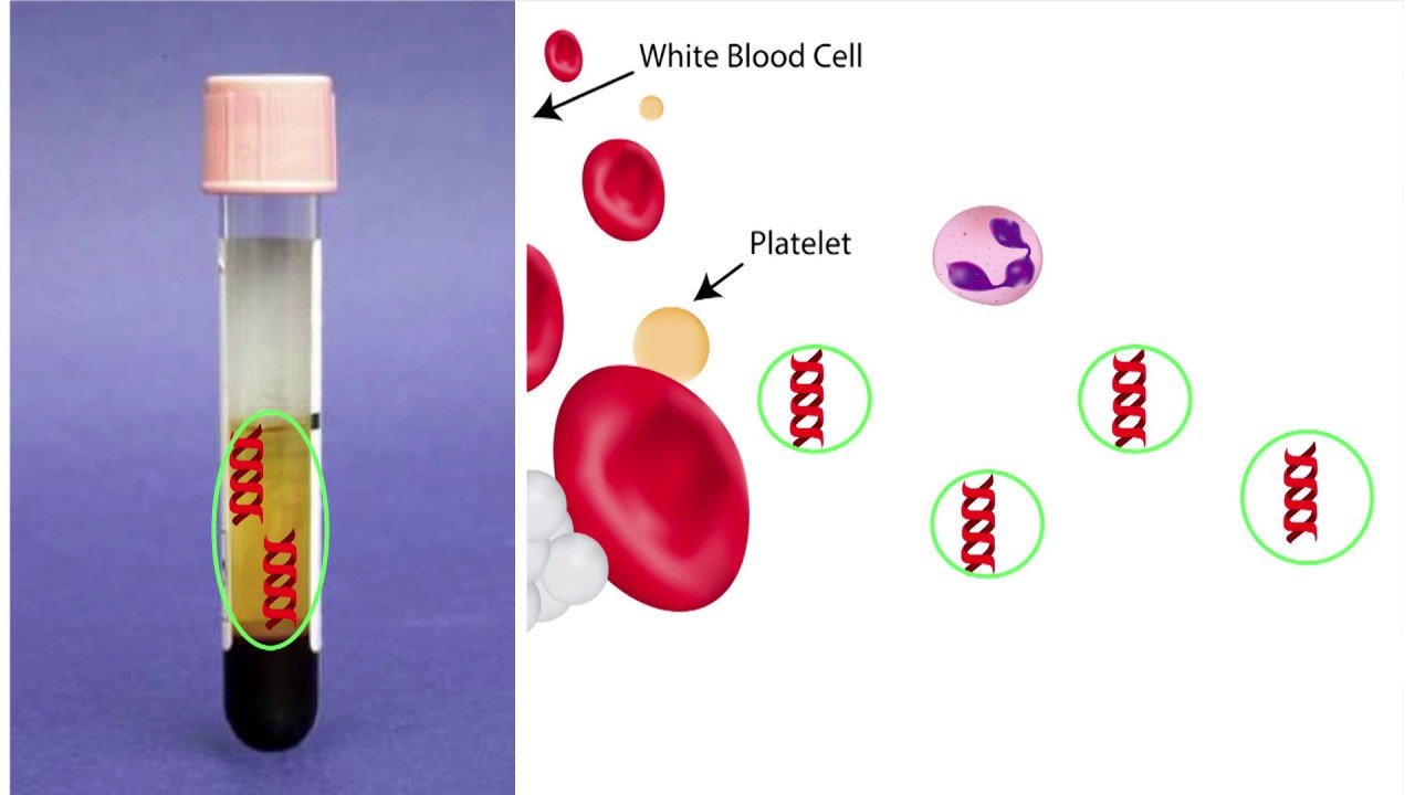 How Liquid Biopsy Can Revolutionise Medical Diagnostics | Dennis Lo