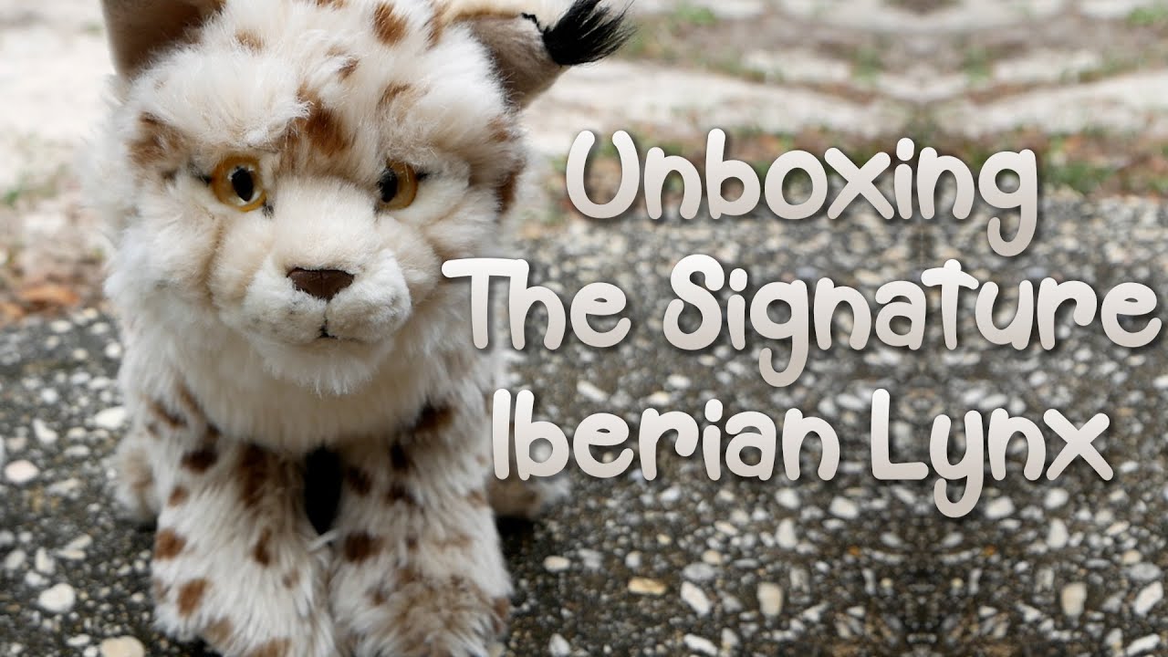 Webkinz Signature Iberian Lynx Unboxing (+Little Updates)