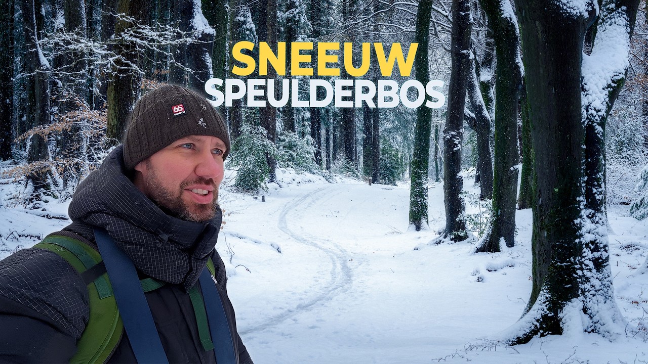 Bosfotografie in sneeuw | Deze foto was niet gepland