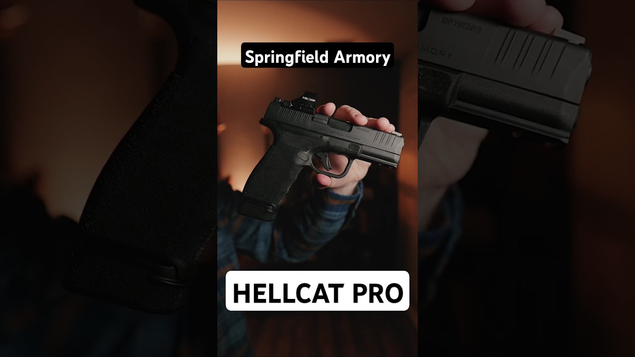 Springfield Hellcat Pro | Every Day Carry | 6 Month Review