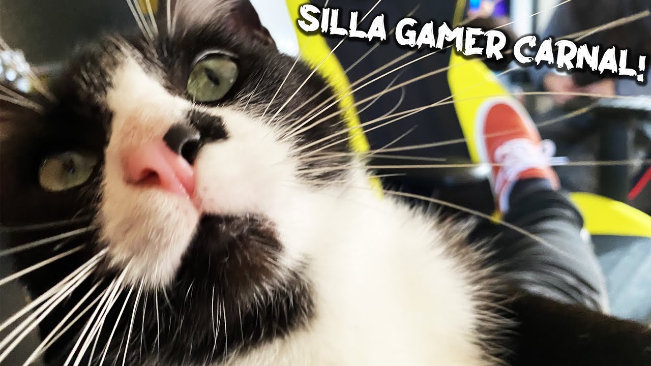 Silla amarilla con almohadilla 🤣😎- Nitro Concepts S300