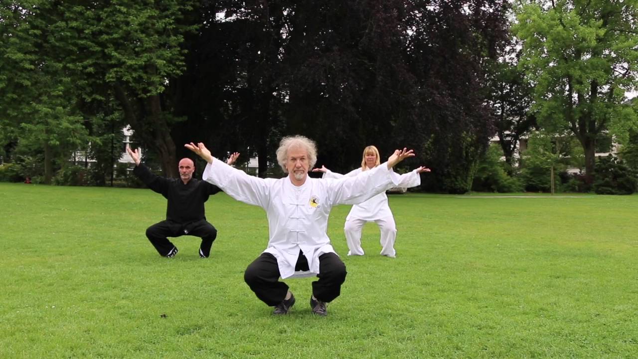 shaolin ba shi ( Zi Ran qi gong)de Maître Liu Deming