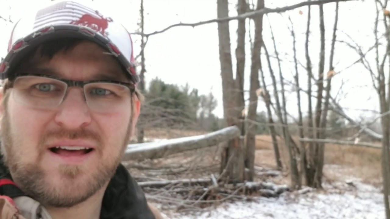 #52 What does hinge cutting look like after 1 year? Complete Deer TV Landscaping for Whitetails