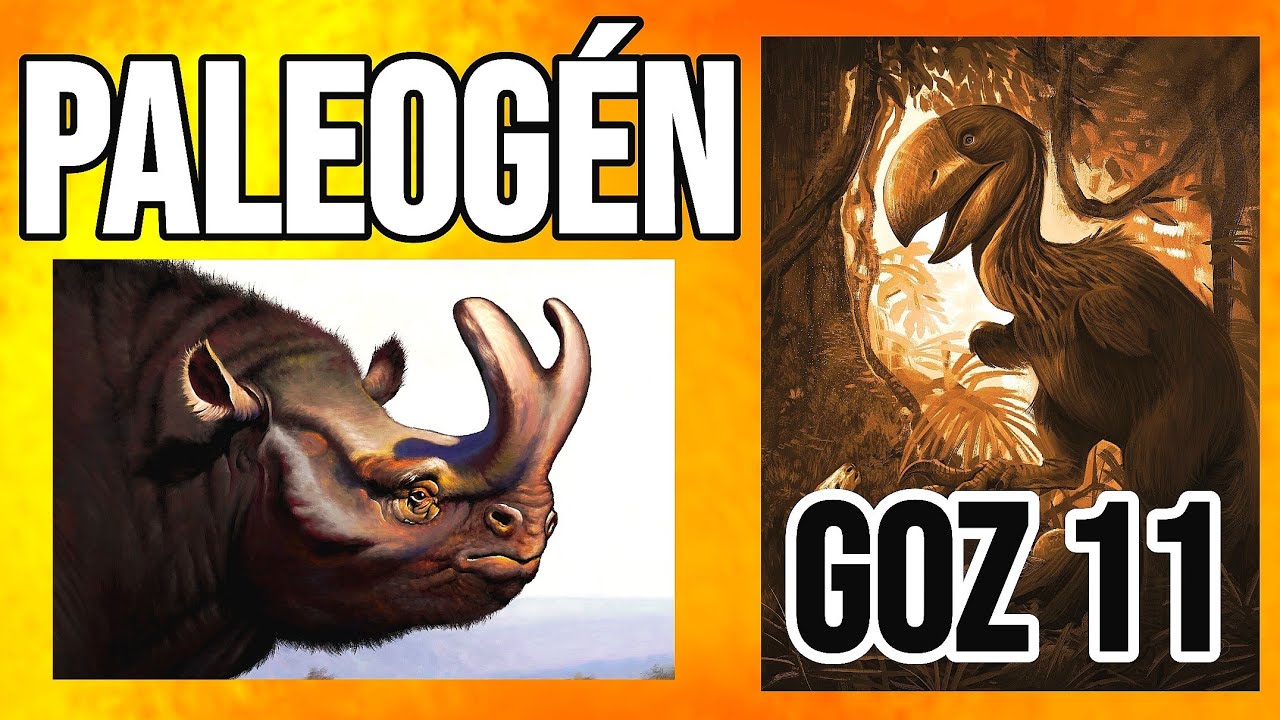 Paleogén (11) GOZ 11 : Starší třetihory | Bruno