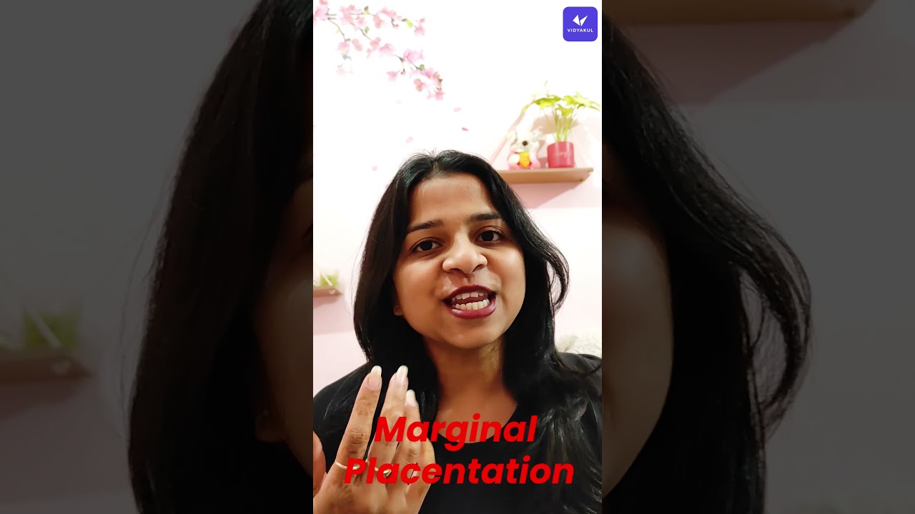 Class 11 Botany Marginal Placentation Morphology Of Flower