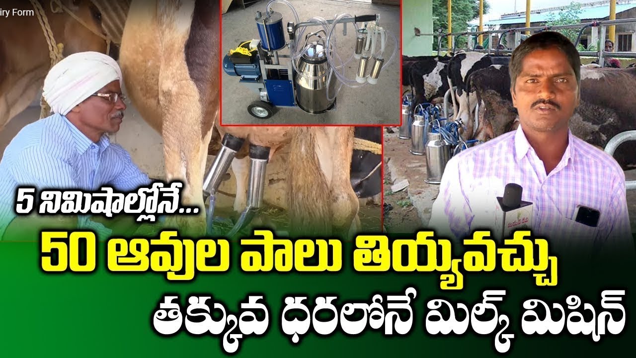 Low Cost Milking Machine for Cows || High Tech Dairy Farming Machines Technology || SumanTV Rythu