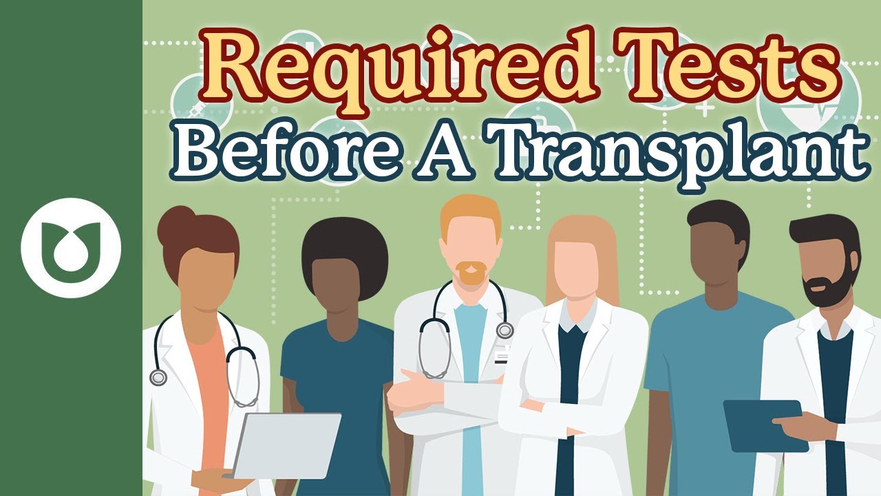 Am I Eligible for a Stem Cell Transplant? Key Tests for Myeloma Patients