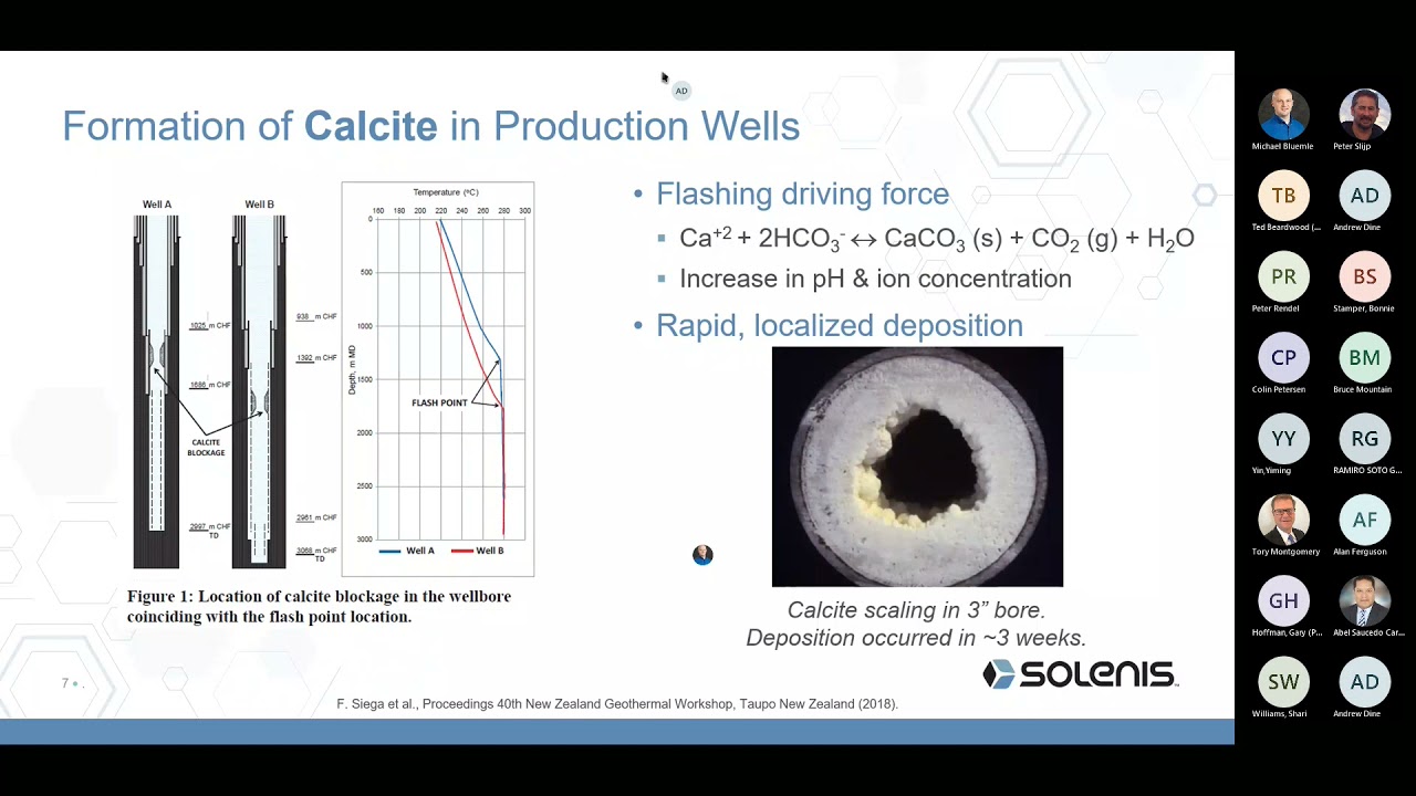 Cutting-edge Scale Control Solutions for Geothermal Power Producers (Americas and New Zealand)