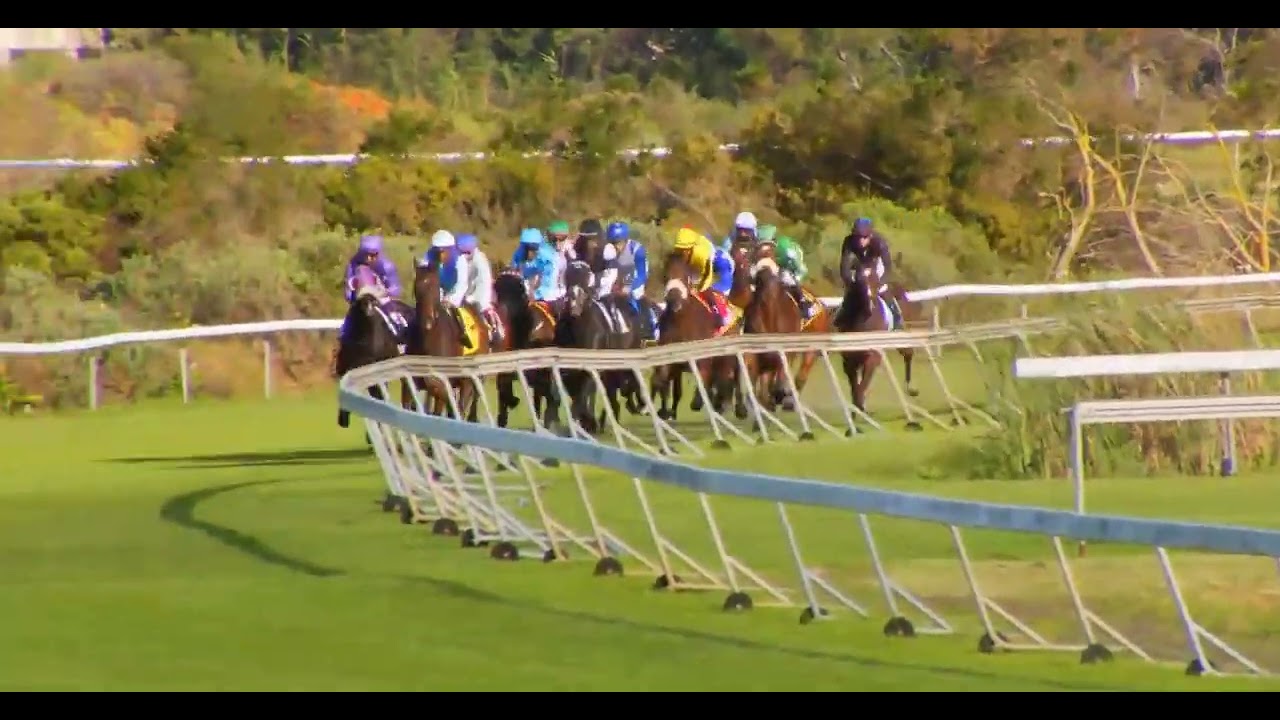 PAS DE NOM - race 9 #kenilworth 30 October 2022