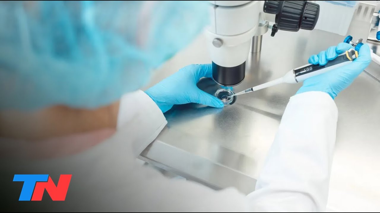 Un caso in&eacute;dito en el pa&iacute;s: por un error m&eacute;dico, una pareja tuvo un hijo de un embri&oacute;n equivocado