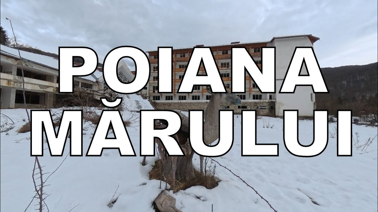 ZBOR PESTE POIANA MĂRULUI. Paradisul naturii din Munții Țarcu