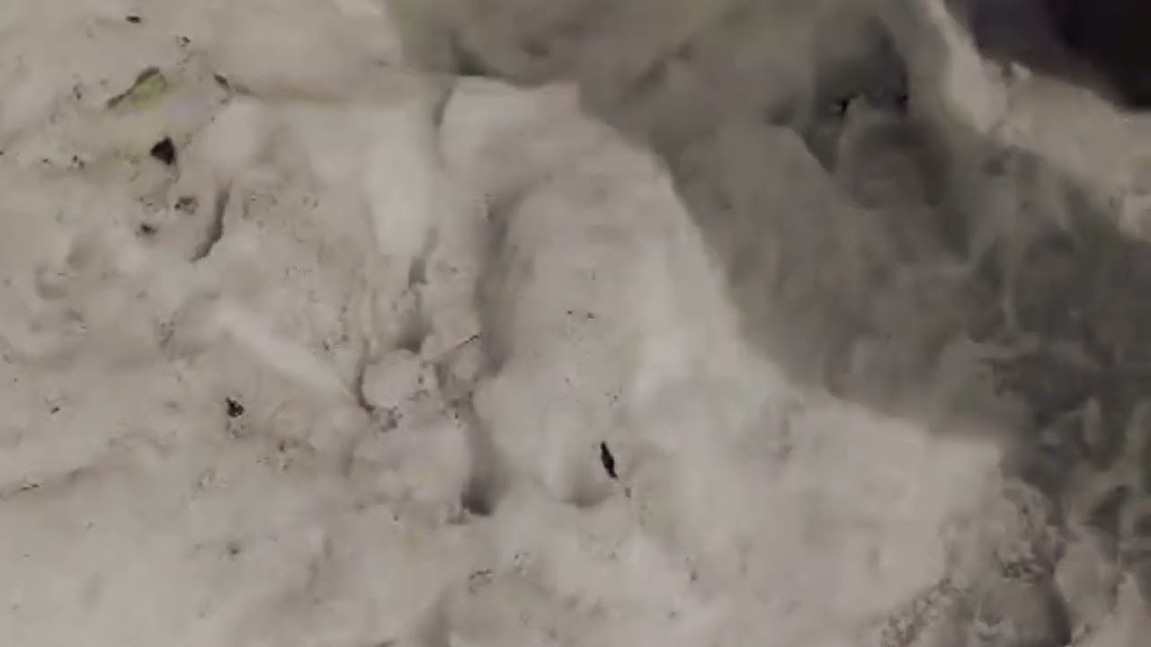 TRIUND TREK SHORT VIDEO