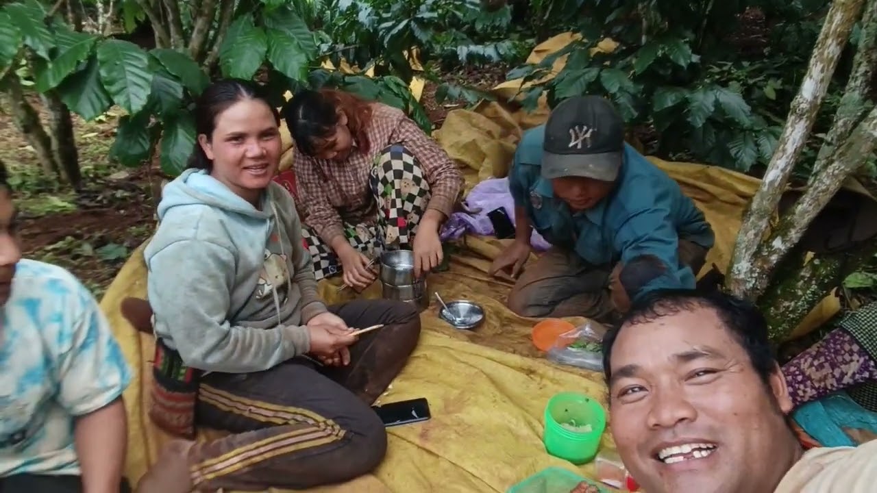 Một ngày khởi đầu đi hái khoán cape 