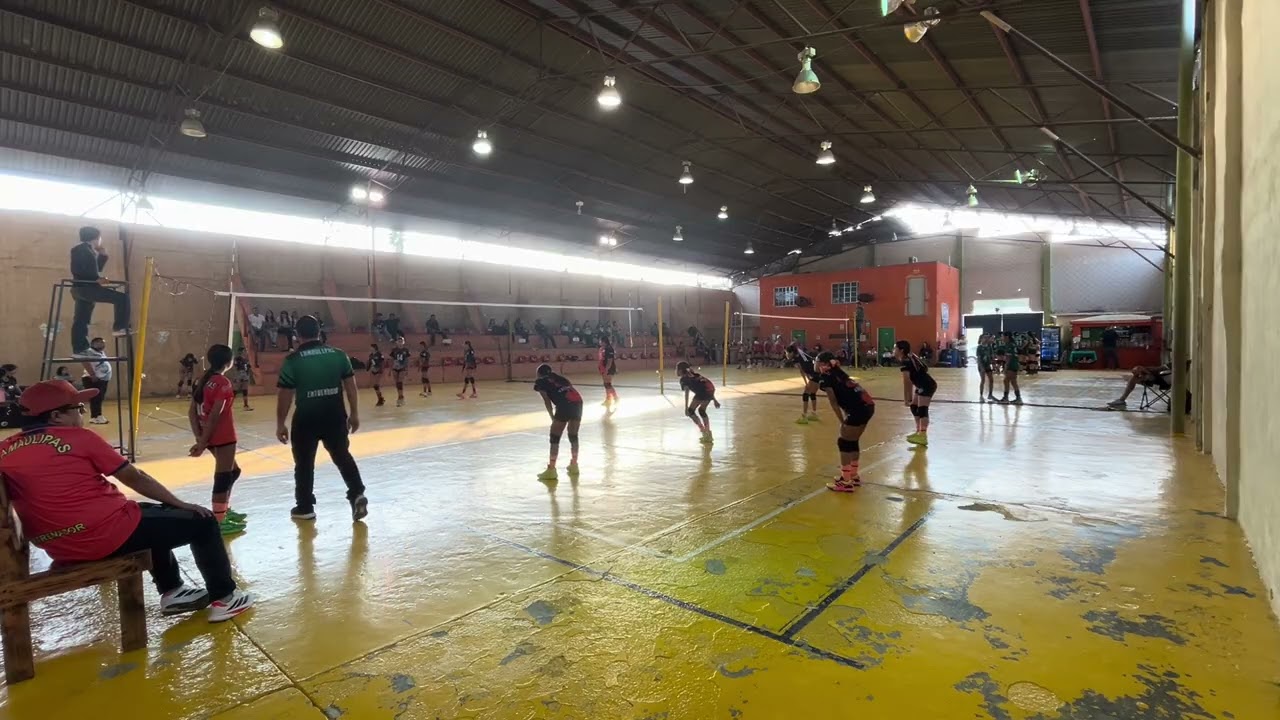 Delfines vs Bulldogs Verdes 1 set