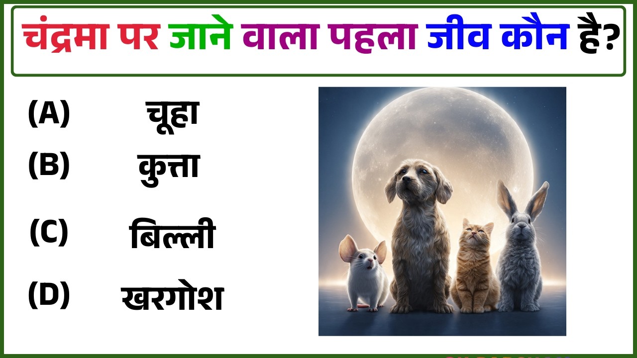 GK Question| GK In Hindi | GK Question and Answer | GK Quiz | GK PARCHAM