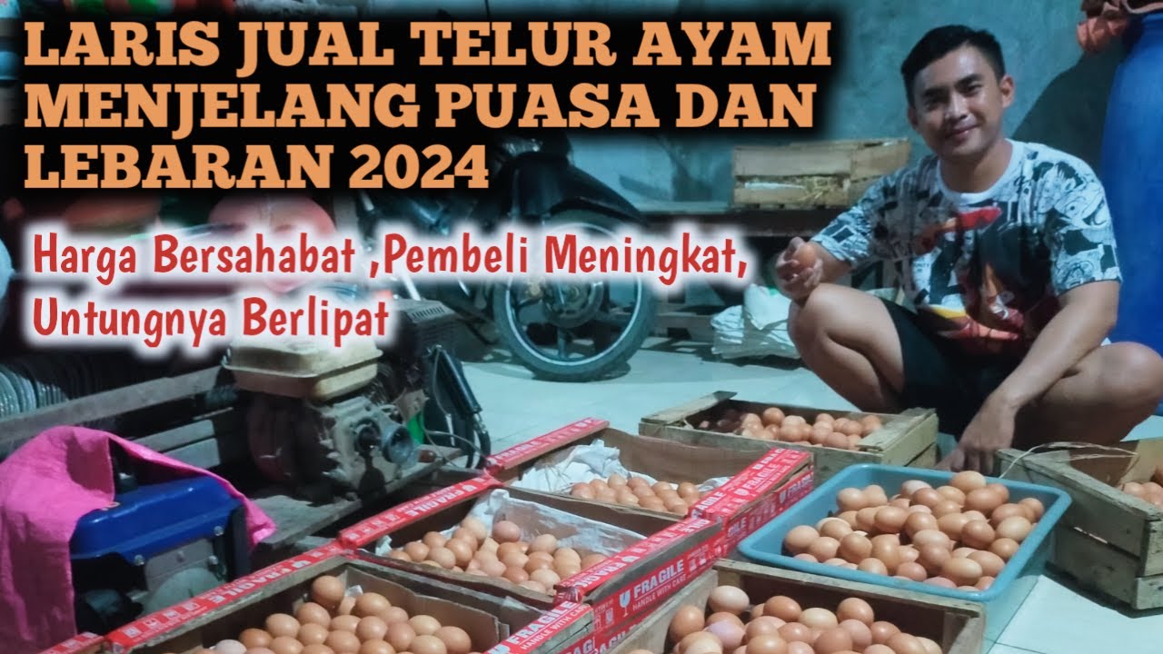 TIDAK PERLU PERANG HARGA‼️ //CARA MENENTUKAN HARGA JUAL TELUR AYAM MENJELANG PUASA DAN LEBARAN 2024